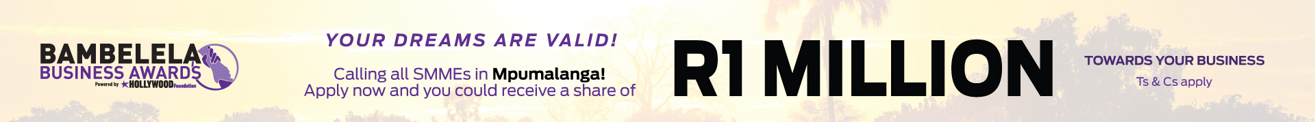 Mpumalanga Banner | Hollywood Foundation