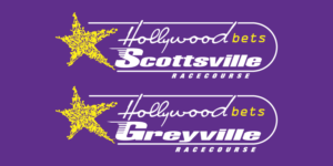 Hollywoodbets Greyville and Hollywoodbets Scottsville Logo