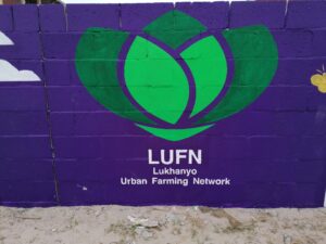 hollywoodfoundation-IMG_20220429_095540Enterprise and Supplier Development – Lukhanyo Urban Farming Network2022/2023 Handovers