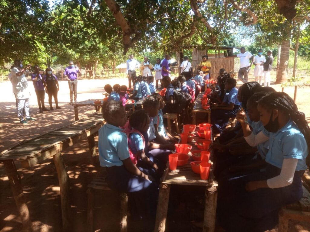 hollywoodfoundation-MicrosoftTeams image 11 2The Hollywood Foundation joins forces with ForAfrika to support Manuce Primary School in Vilankulos District in Mozambique2022/2023 Handovers