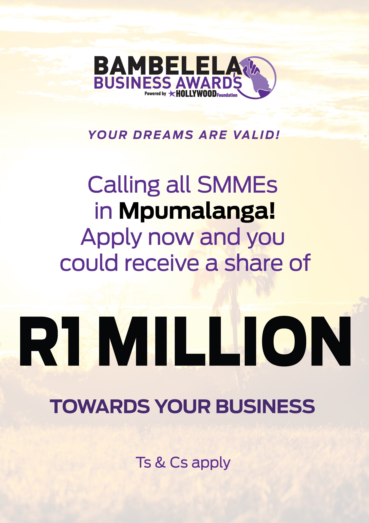 Mpumalanga 3 Mpumalanga Bambelela Business Awards 2026 Mpumalanga | Hollywood Foundation