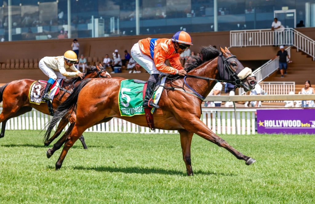 hollywoodfoundation-Wings Of Josephine Strides Clear To Give Sifiso His First Winner Pic Candiese Lenferna 1536x998 1What A Way For Sifiso To End 2024!Hollywoodbets iBranch MASTER